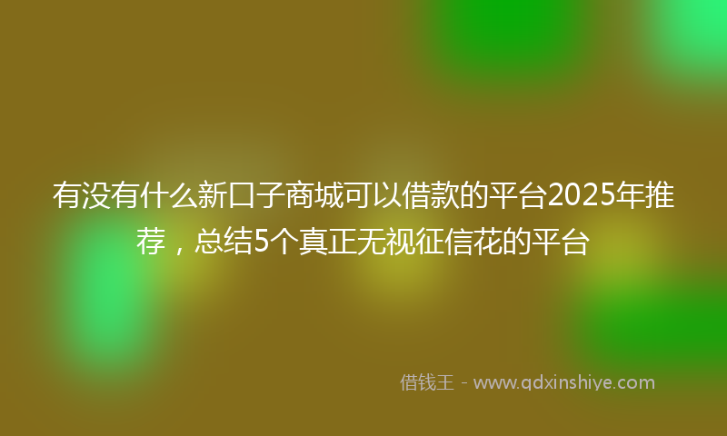 有没有什么新口子商城可以借款的平台2025年推荐，总结5个真正无视征信花的平台