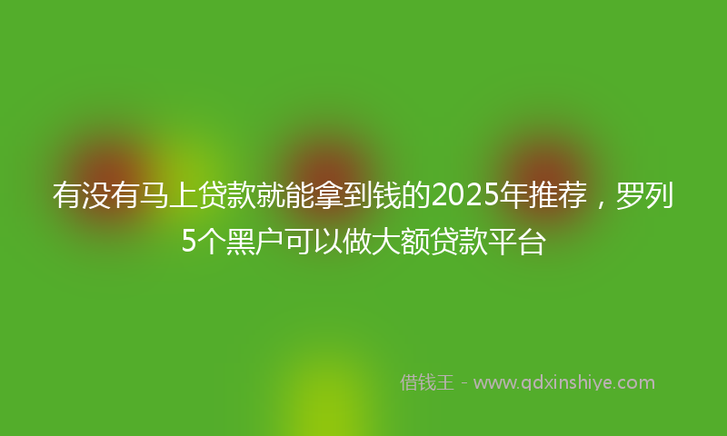 有没有马上贷款就能拿到钱的2025年推荐，罗列5个黑户可以做大额贷款平台