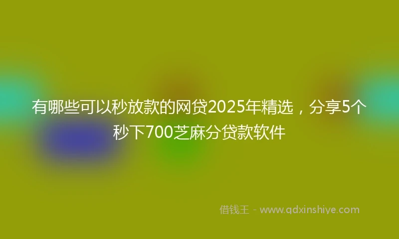 有哪些可以秒放款的网贷2025年精选，分享5个秒下700芝麻分贷款软件