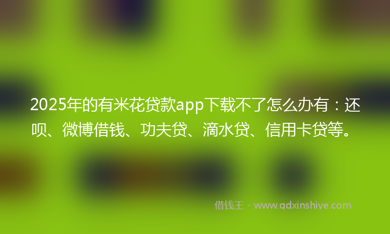2025年的有米花贷款app下载不了怎么办有：还呗、微博借钱、功夫贷、滴水贷、信用卡贷等。