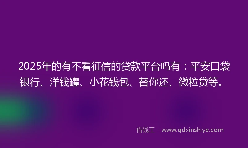 2025年的有不看征信的贷款平台吗有：平安口袋银行、洋钱罐、小花钱包、替你还、微粒贷等。