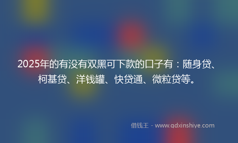 2025年的有没有双黑可下款的口子有：随身贷、柯基贷、洋钱罐、快贷通、微粒贷等。
