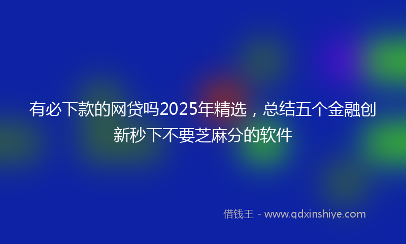 有必下款的网贷吗2025年精选，总结五个金融创新秒下不要芝麻分的软件