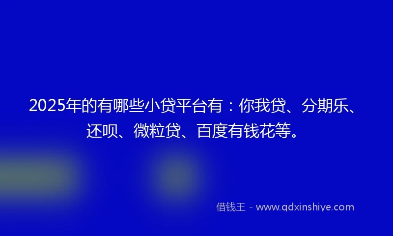 2025年的有哪些小贷平台有：你我贷、分期乐、还呗、微粒贷、百度有钱花等。