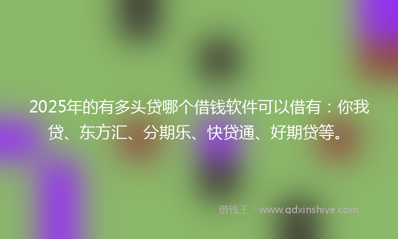 2025年的有多头贷哪个借钱软件可以借有：你我贷、东方汇、分期乐、快贷通、好期贷等。