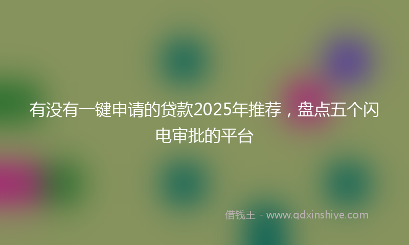 有没有一键申请的贷款2025年推荐，盘点五个闪电审批的平台