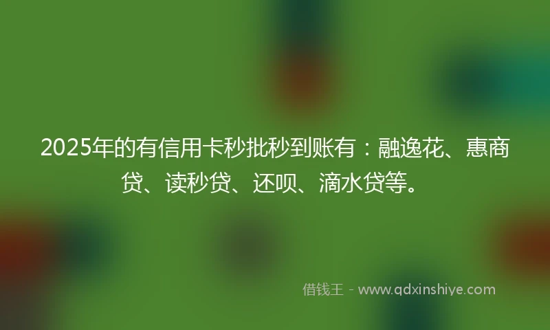 2025年的有信用卡秒批秒到账有：融逸花、惠商贷、读秒贷、还呗、滴水贷等。