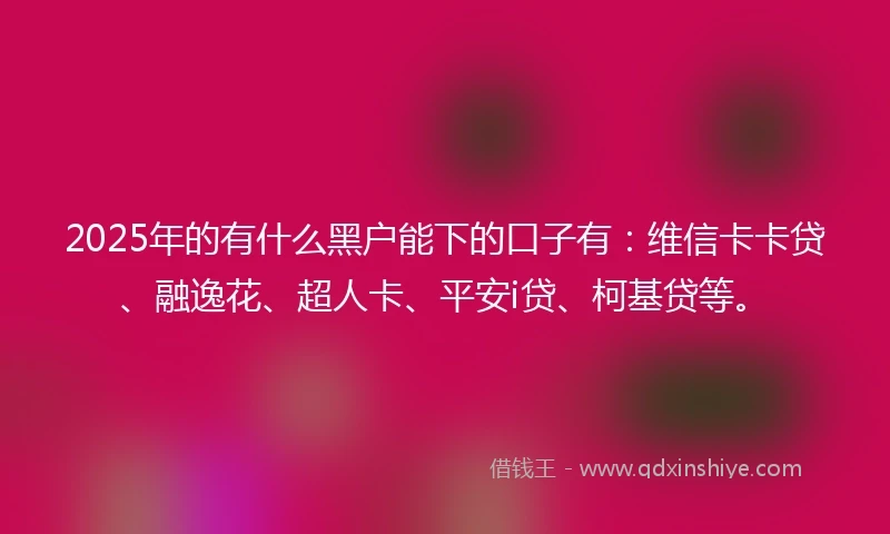 2025年的有什么黑户能下的口子有：维信卡卡贷、融逸花、超人卡、平安i贷、柯基贷等。