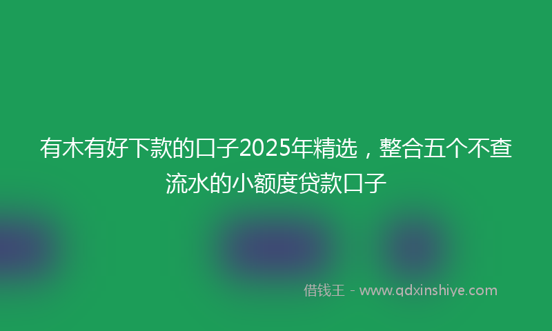 有木有好下款的口子2025年精选，整合五个不查流水的小额度贷款口子