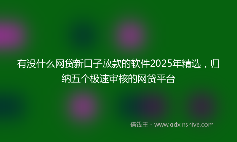 有没什么网贷新口子放款的软件2025年精选，归纳五个极速审核的网贷平台
