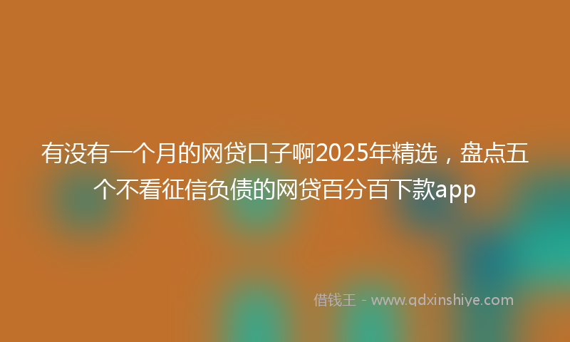 有没有一个月的网贷口子啊2025年精选，盘点五个不看征信负债的网贷百分百下款app