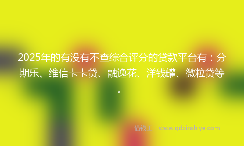 2025年的有没有不查综合评分的贷款平台有：分期乐、维信卡卡贷、融逸花、洋钱罐、微粒贷等。