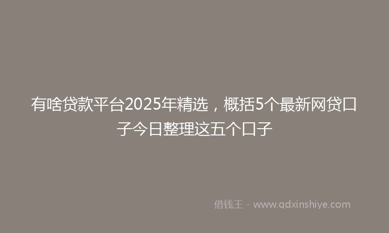有啥贷款平台2025年精选，概括5个最新网贷口子今日整理这五个口子