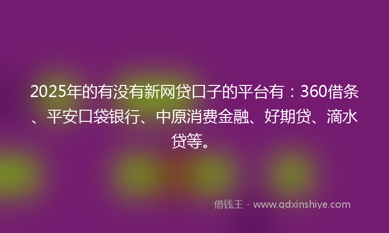 2025年的有没有新网贷口子的平台有：360借条、平安口袋银行、中原消费金融、好期贷、滴水贷等。