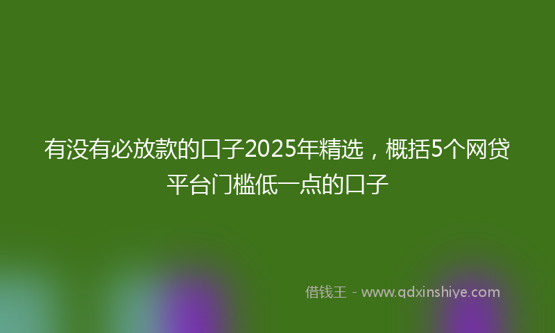 有没有必放款的口子2025年精选，概括5个网贷平台门槛低一点的口子