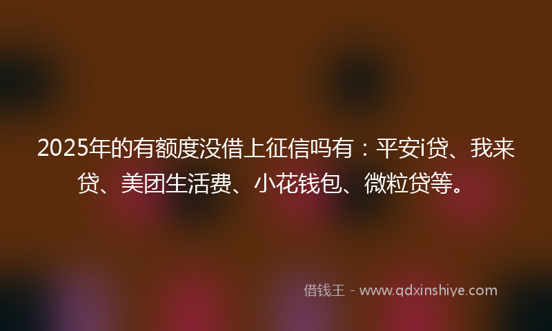 2025年的有额度没借上征信吗有：平安i贷、我来贷、美团生活费、小花钱包、微粒贷等。
