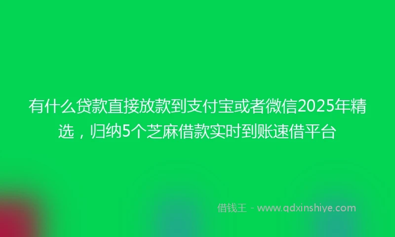 有什么贷款直接放款到支付宝或者微信2025年精选，归纳5个芝麻借款实时到账速借平台