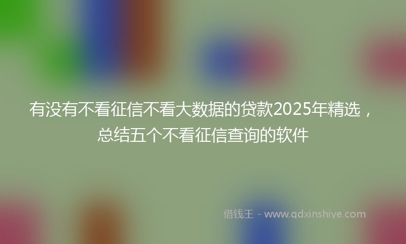 有没有不看征信不看大数据的贷款2025年精选，总结五个不看征信查询的软件