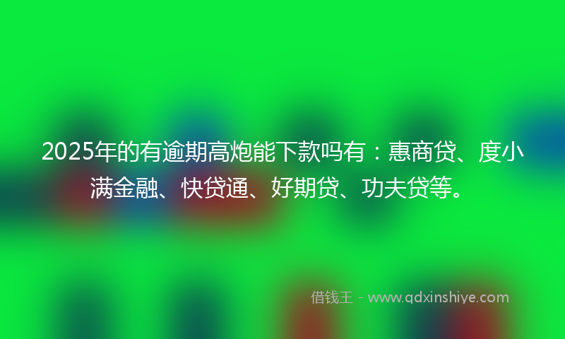 2025年的有逾期高炮能下款吗有：惠商贷、度小满金融、快贷通、好期贷、功夫贷等。