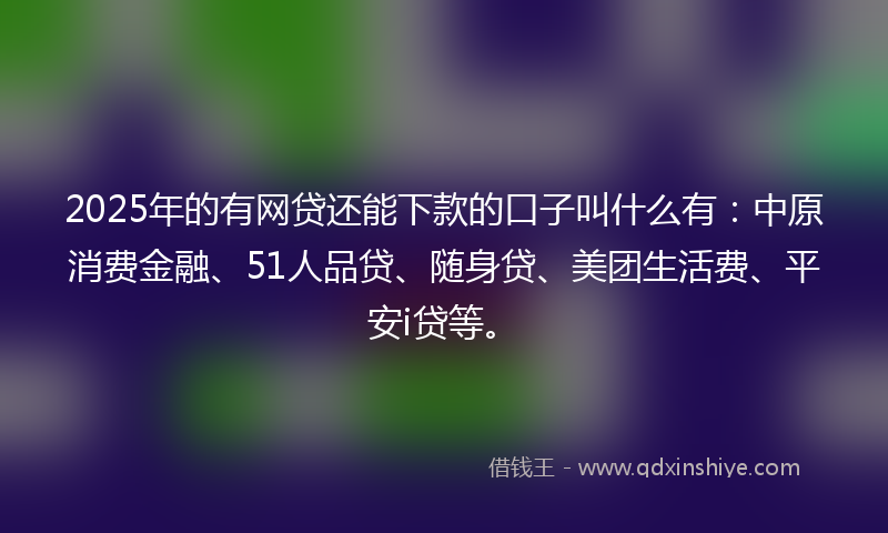 2025年的有网贷还能下款的口子叫什么有：中原消费金融、51人品贷、随身贷、美团生活费、平安i贷等。