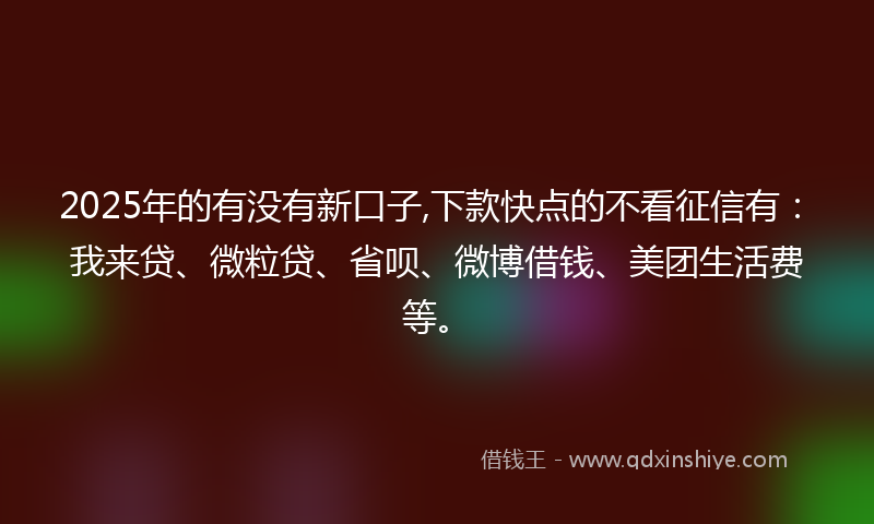 2025年的有没有新口子,下款快点的不看征信有：我来贷、微粒贷、省呗、微博借钱、美团生活费等。