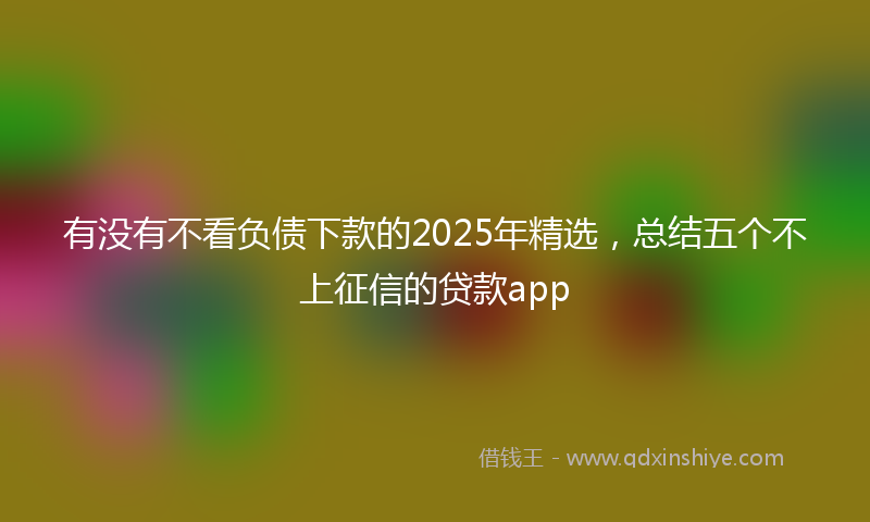 有没有不看负债下款的2025年精选，总结五个不上征信的贷款app