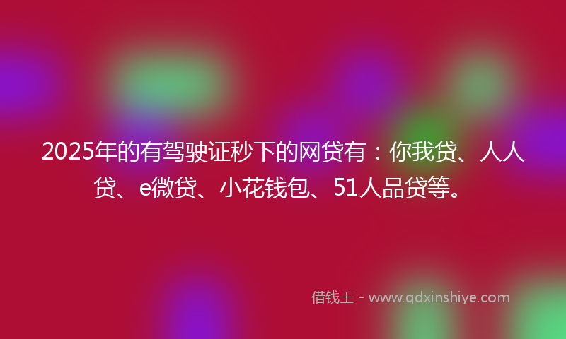 2025年的有驾驶证秒下的网贷有：你我贷、人人贷、e微贷、小花钱包、51人品贷等。