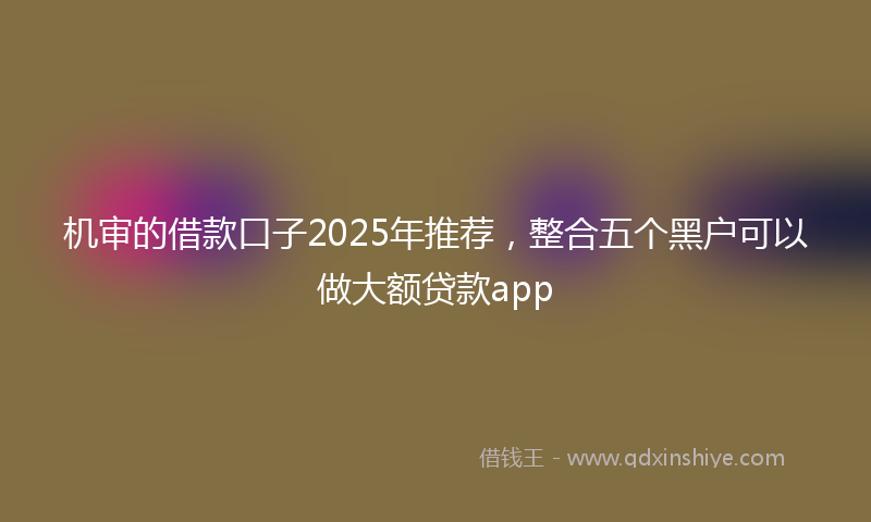 机审的借款口子2025年推荐，整合五个黑户可以做大额贷款app