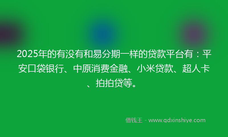 2025年的有没有和易分期一样的贷款平台有：平安口袋银行、中原消费金融、小米贷款、超人卡、拍拍贷等。