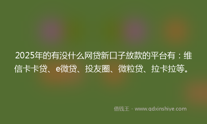 2025年的有没什么网贷新口子放款的平台有：维信卡卡贷、e微贷、投友圈、微粒贷、拉卡拉等。