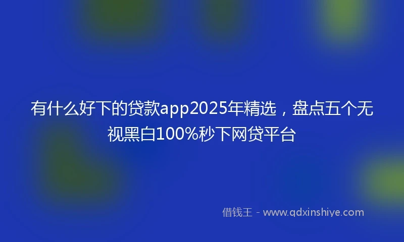有什么好下的贷款app2025年精选，盘点五个无视黑白100%秒下网贷平台