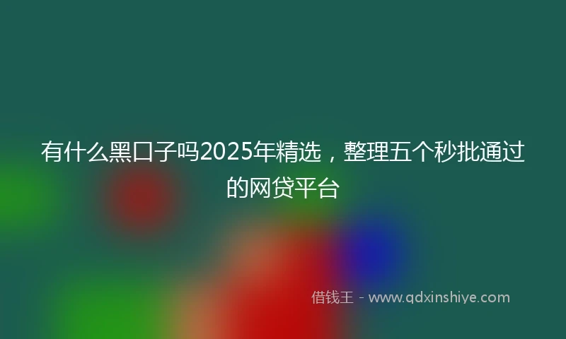 有什么黑口子吗2025年精选，整理五个秒批通过的网贷平台