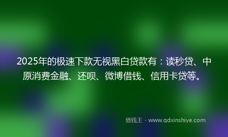 2025年的极速下款无视黑白贷款有：读秒贷、中原消费金融、还呗、微博借钱、信用卡贷等。