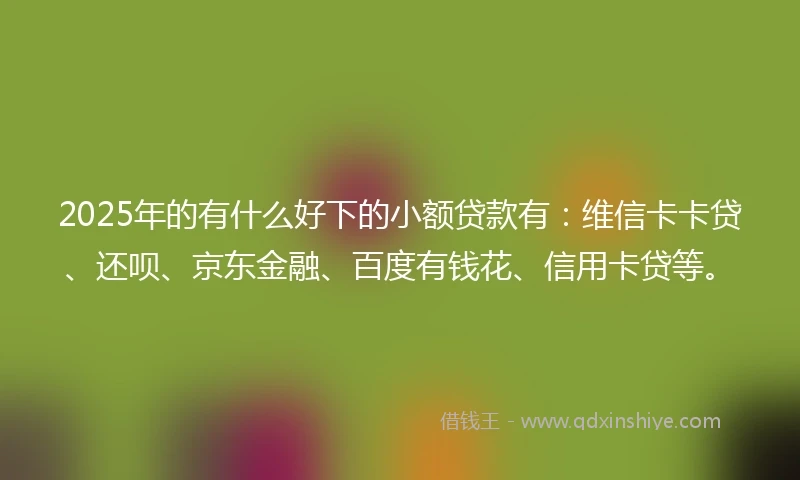 2025年的有什么好下的小额贷款有：维信卡卡贷、还呗、京东金融、百度有钱花、信用卡贷等。