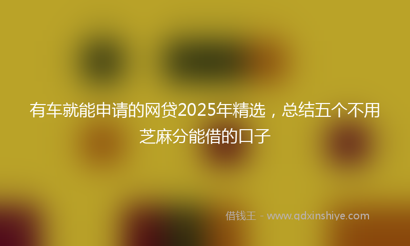有车就能申请的网贷2025年精选，总结五个不用芝麻分能借的口子