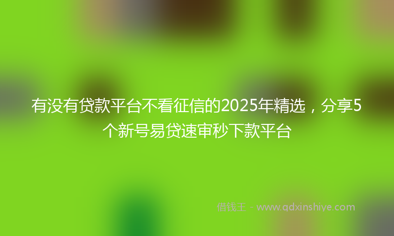 有没有贷款平台不看征信的2025年精选，分享5个新号易贷速审秒下款平台