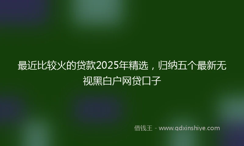最近比较火的贷款2025年精选，归纳五个最新无视黑白户网贷口子