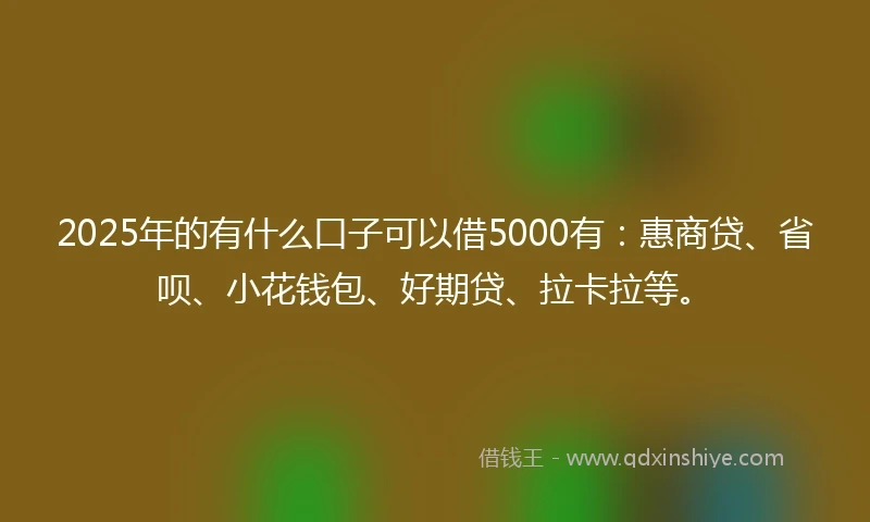 2025年的有什么口子可以借5000有：惠商贷、省呗、小花钱包、好期贷、拉卡拉等。