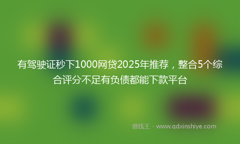 有驾驶证秒下1000网贷2025年推荐，整合5个综合评分不足有负债都能下款平台