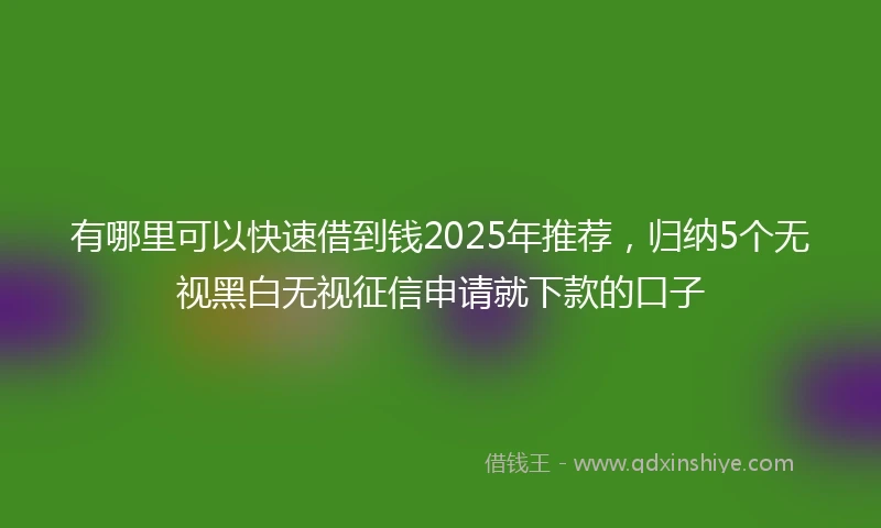 有哪里可以快速借到钱2025年推荐，归纳5个无视黑白无视征信申请就下款的口子