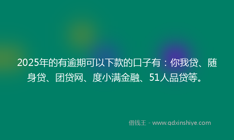 2025年的有逾期可以下款的口子有：你我贷、随身贷、团贷网、度小满金融、51人品贷等。