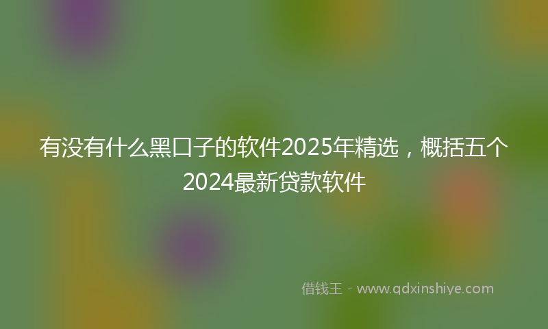 有没有什么黑口子的软件2025年精选，概括五个2024最新贷款软件