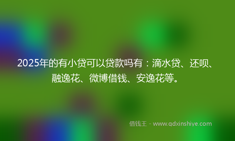 2025年的有小贷可以贷款吗有：滴水贷、还呗、融逸花、微博借钱、安逸花等。