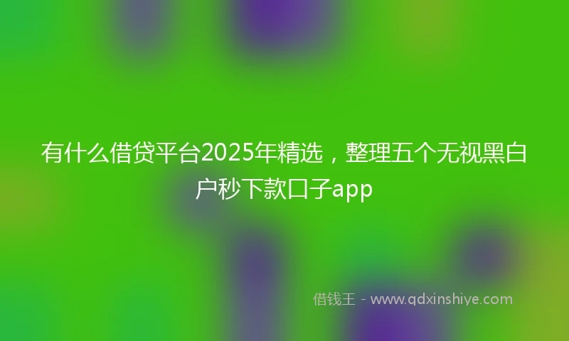有什么借贷平台2025年精选，整理五个无视黑白户秒下款口子app