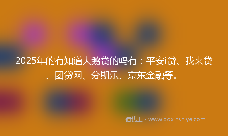 2025年的有知道大鹅贷的吗有：平安i贷、我来贷、团贷网、分期乐、京东金融等。