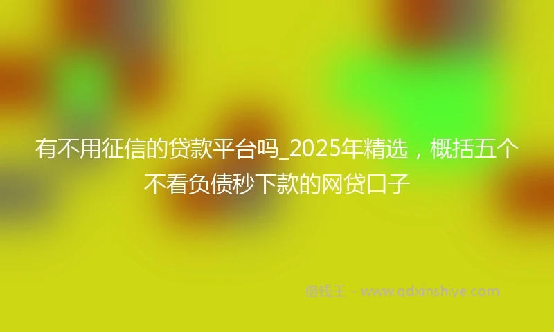 有不用征信的贷款平台吗_2025年精选，概括五个不看负债秒下款的网贷口子