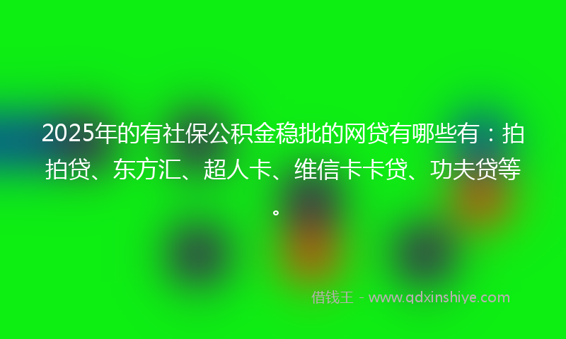 2025年的有社保公积金稳批的网贷有哪些有：拍拍贷、东方汇、超人卡、维信卡卡贷、功夫贷等。