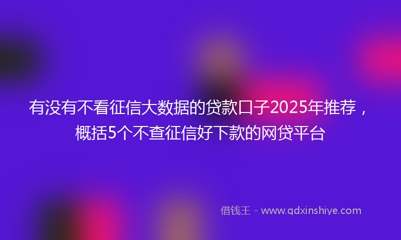 有没有不看征信大数据的贷款口子2025年推荐，概括5个不查征信好下款的网贷平台