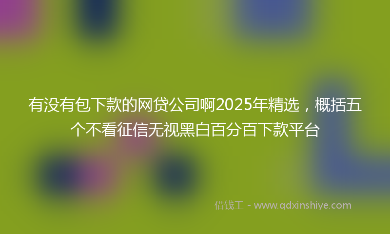 有没有包下款的网贷公司啊2025年精选，概括五个不看征信无视黑白百分百下款平台