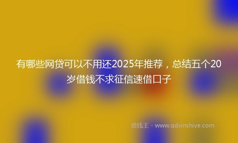 有哪些网贷可以不用还2025年推荐，总结五个20岁借钱不求征信速借口子